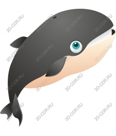  Cute whale