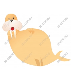  Cute walrus