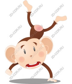 Funny monkey, handstand