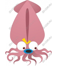  Cartoon squid