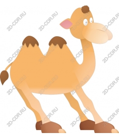  Cartoon camel