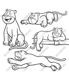  Set "Playful lion": a fancy for children