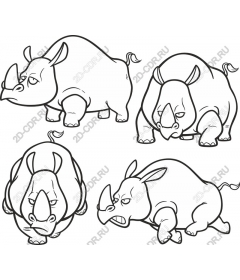  Set "Playful Rhino"