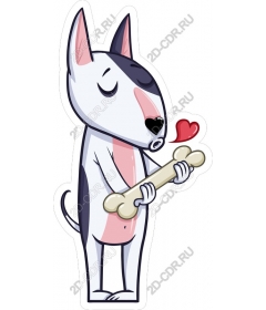  Adorable bull Terrier with a heart and bone