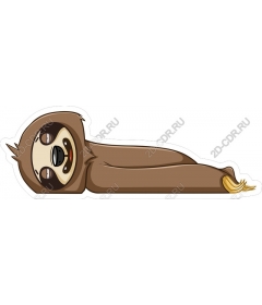  Cute sloth