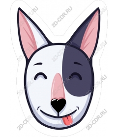 Playful face dogs