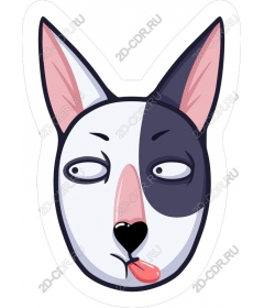  Fancy dog's face