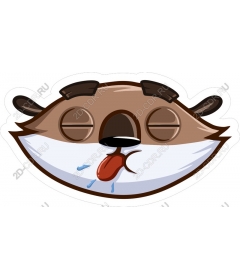Playful face raccoon