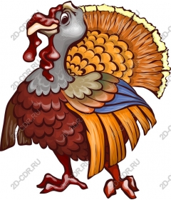  Festive Turkey