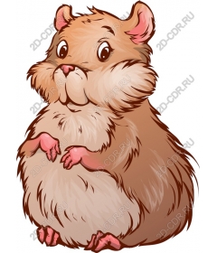  Cute hamster