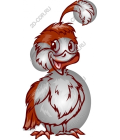  Bizarre cartoon bird