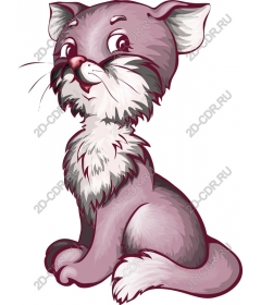  Adorable gray kitten