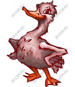  Whimsical duck