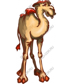  Adorable cartoon camel