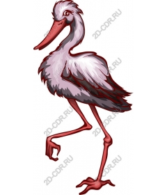  Bright stork