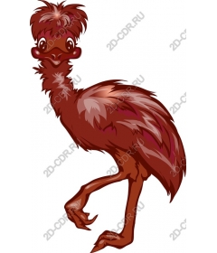  Whimsical drawing cartoon ostrich