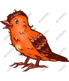 Bright singing bird