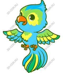  Colorful parrot