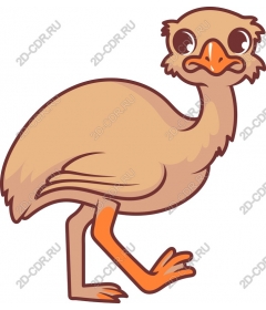 Cartoon ostrich