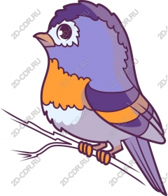  Whimsical bird