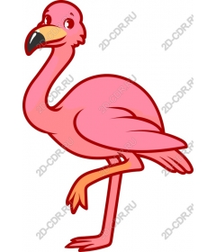  Bright pink flamingos