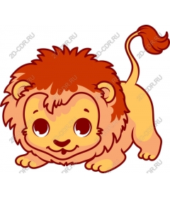  Adorable lion cub