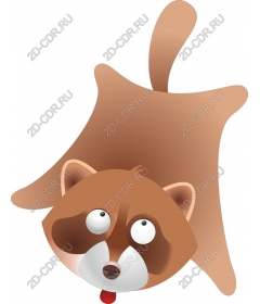 Playful raccoon