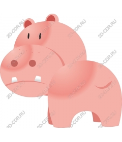  Adorable Hippo