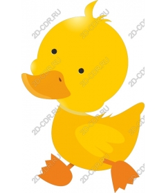  Cute yellow duck