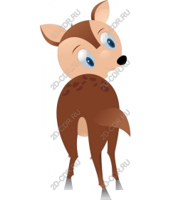  Cute playful deer