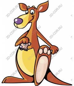  Adorable kangaroo Joey