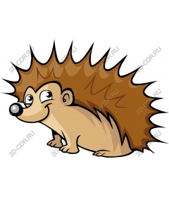  Cute hedgehog