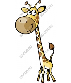  Cartoon giraffe