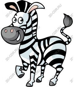 Playful Zebra