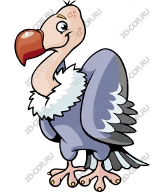 Funny cartoon vulture