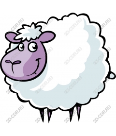  Charming character of the sheep