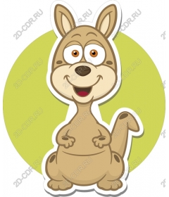  Adorable kangaroo