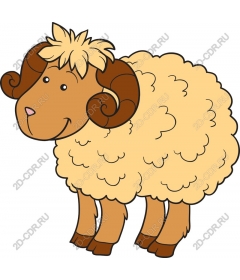 Charming honey lamb
