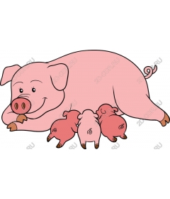  Charming Mama pig and piglets