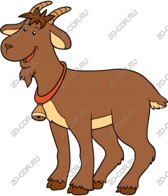  Charming playful goat