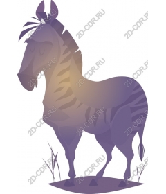  Элегантная зебра