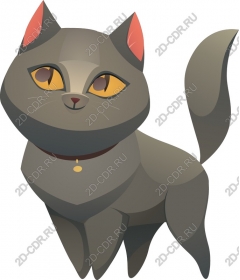 Playful grey cat