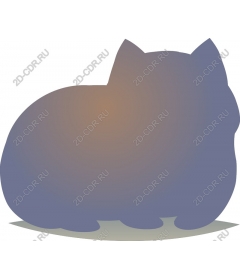  Fancy cat