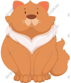 Adorable fluffy cat
