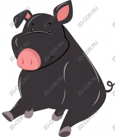  Cute black pig