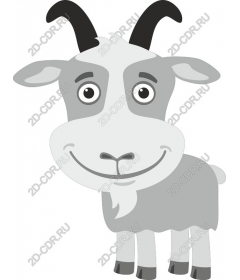 Playful grey goat