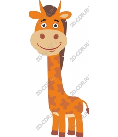  Adorable giraffe