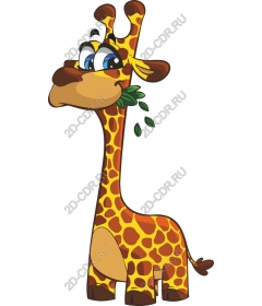  Bizarre cartoon giraffe