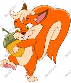 Fun orange squirrel