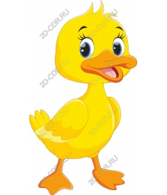 Funny cartoon duck